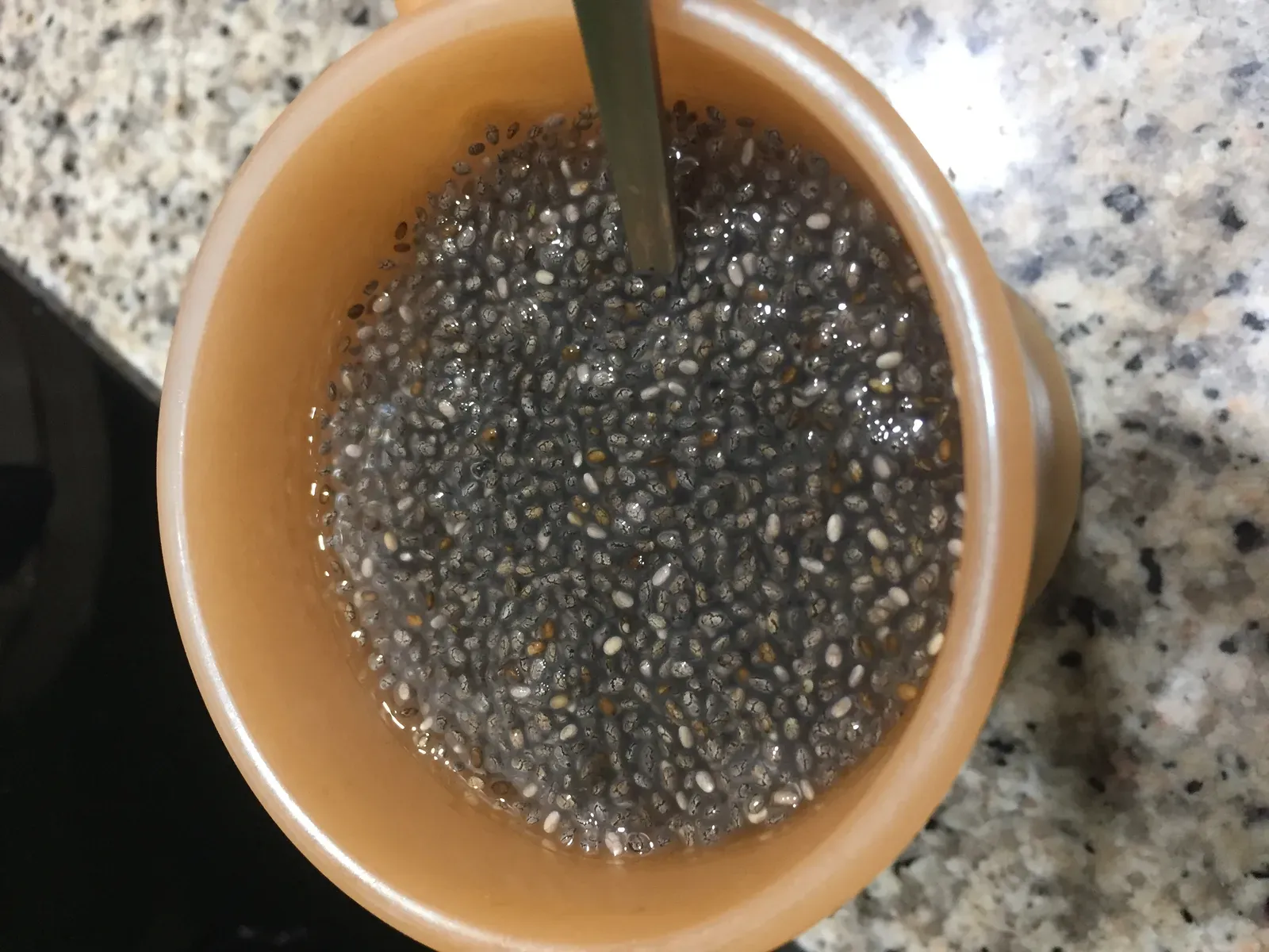 8. Chia Seeds: The Nutrient-Dense Tiny Seed With Metabolic Benefits (By Zenyrgarden, CC BY-SA 4.0)