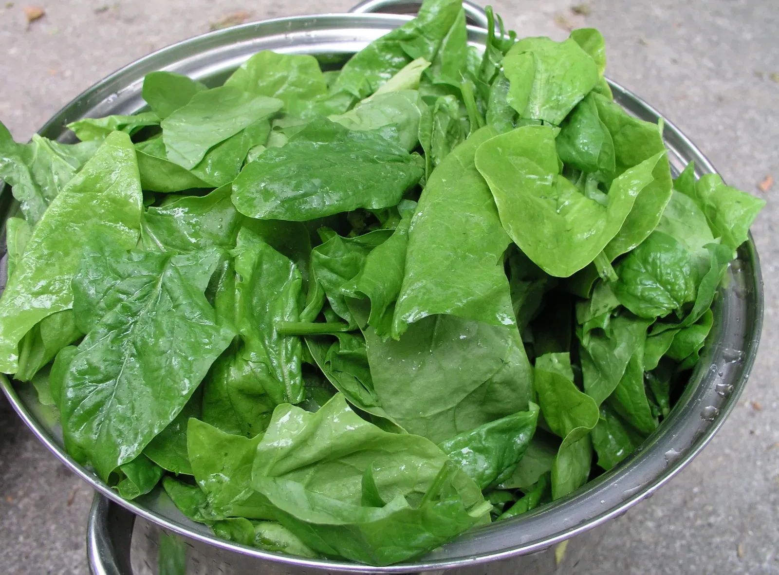 1. Spinach: The Leafy Green With a Serious Cardiovascular Edge (By Nillerdk, CC BY 3.0)
