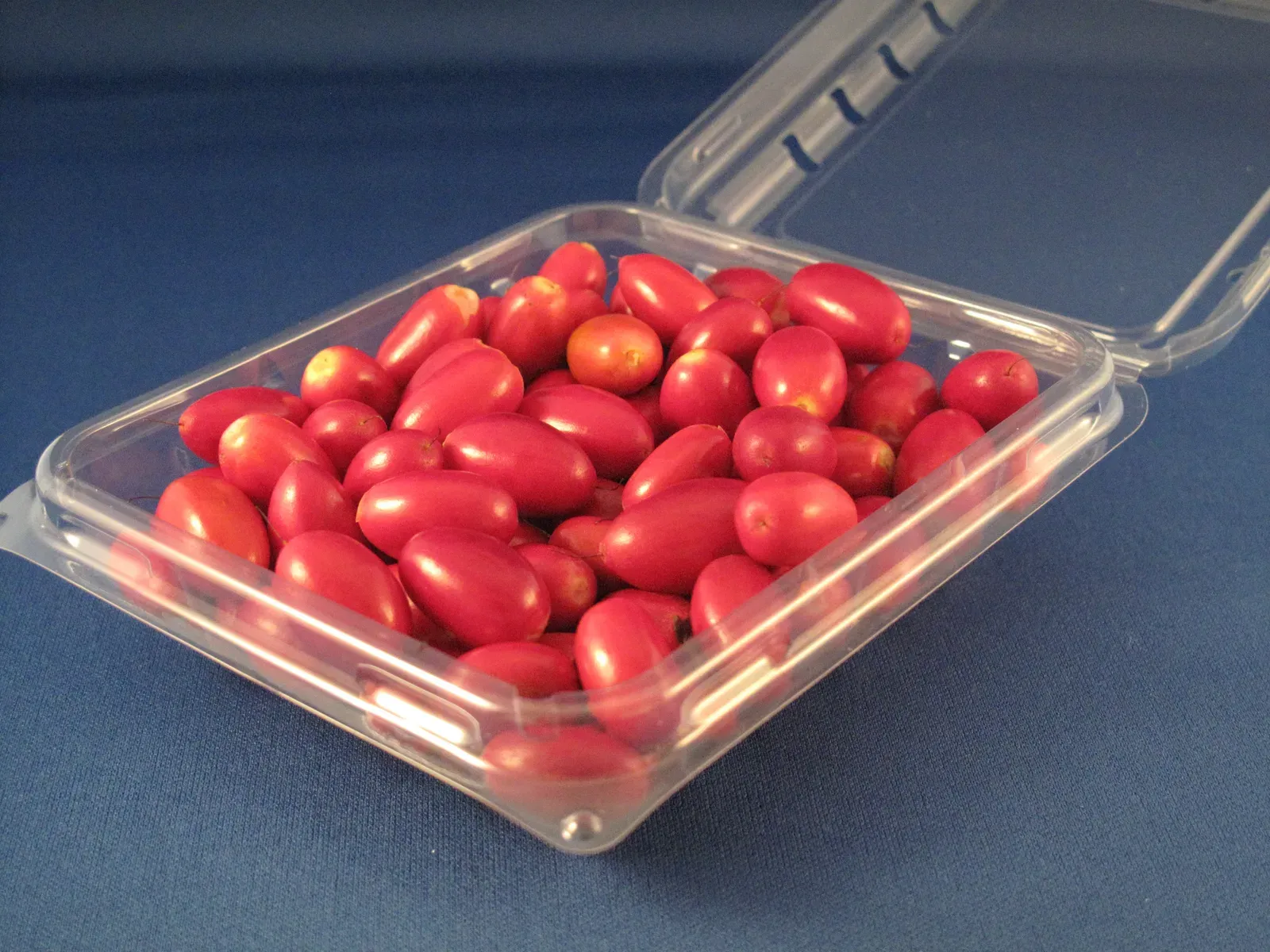 9. Why Your Taste Buds Can Be Completely Fooled by One Berry (Image Credits: Wikimedia)