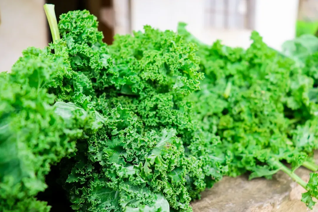 7. Kale (Image Credits: Unsplash)