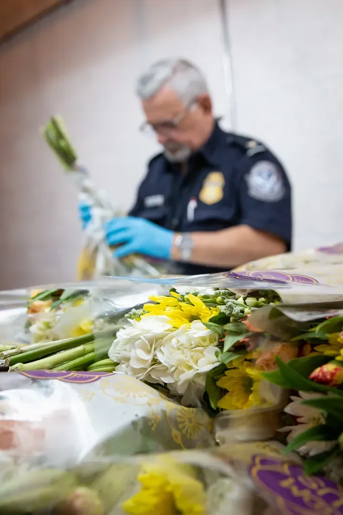 Fresh Produce and Meat: The Agricultural Time Bombs (Image Credits: Flickr)