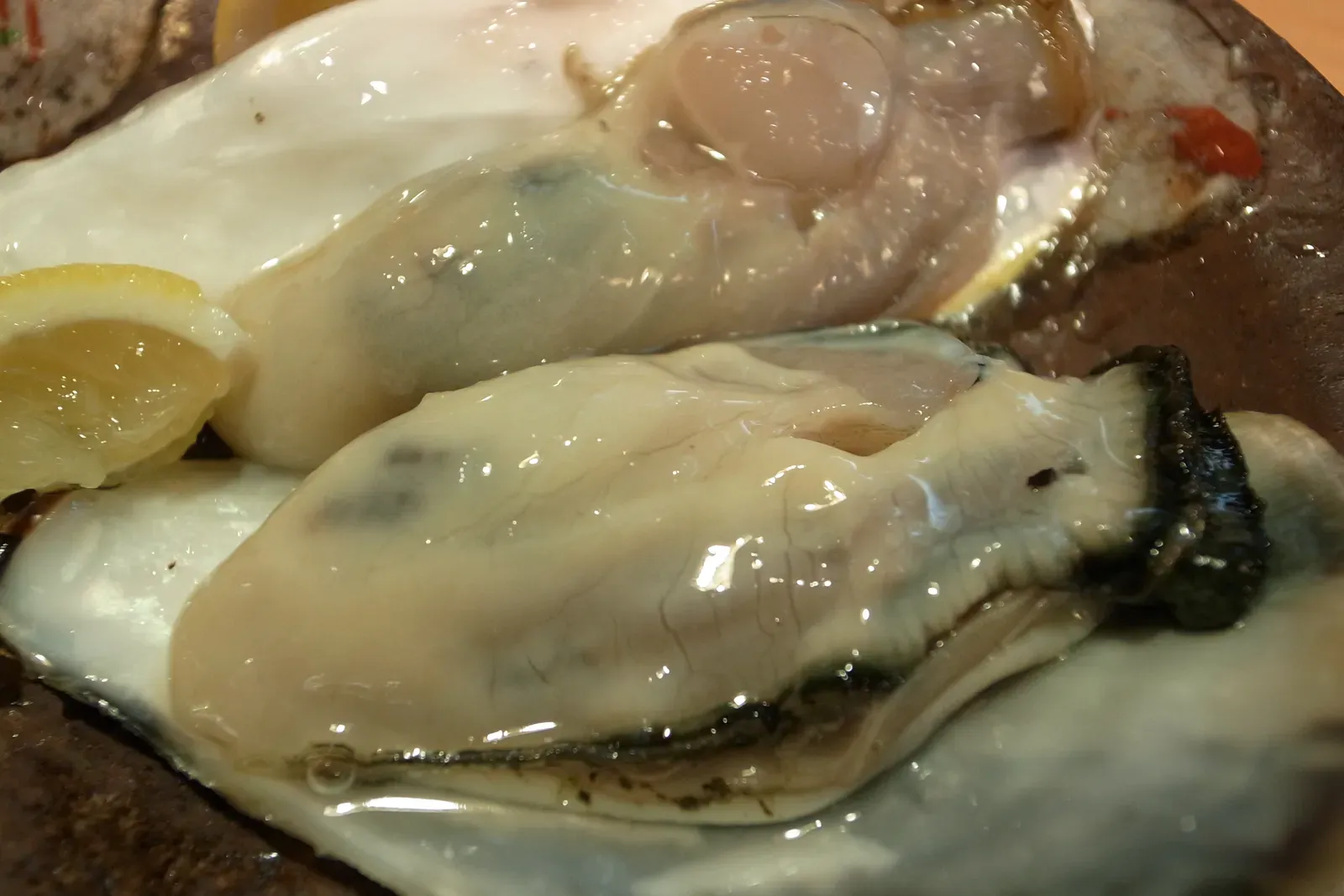 3. Raw Oysters - A Dish That Can Genuinely Hurt You (Image Credits: Wikimedia)