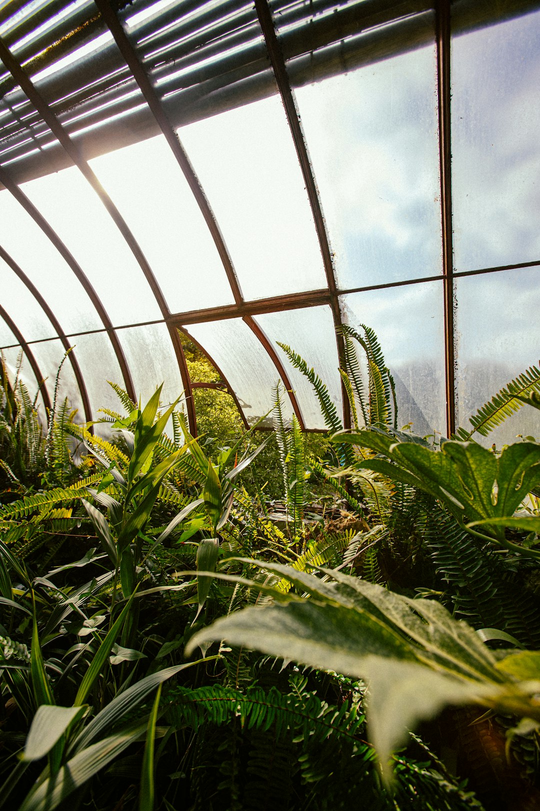 Greenhouse Automation and Controlled Environment Agriculture Expand Rapidly (image credits: unsplash)
