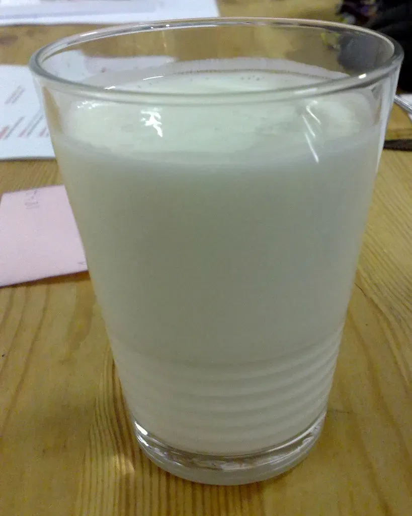 8. Kefir: The Fermented Drink Your Gut Has Been Waiting For (Image Credits: Flickr)