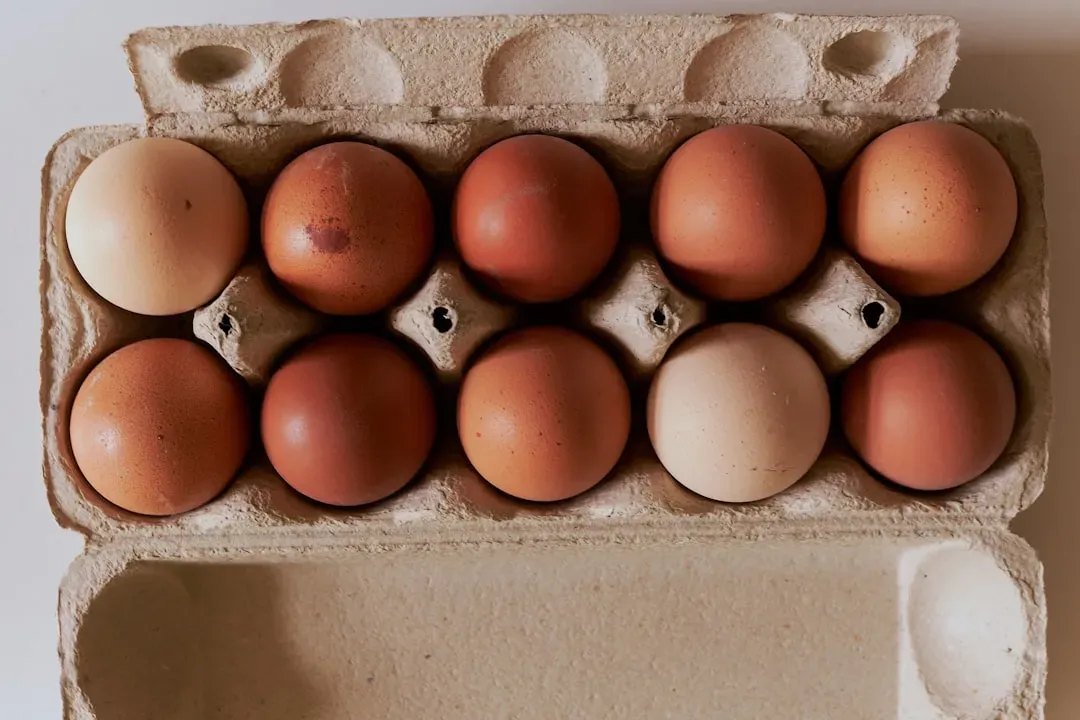 2. Eggs - The High-Quality Protein That Holds You Over (Image Credits: Unsplash)