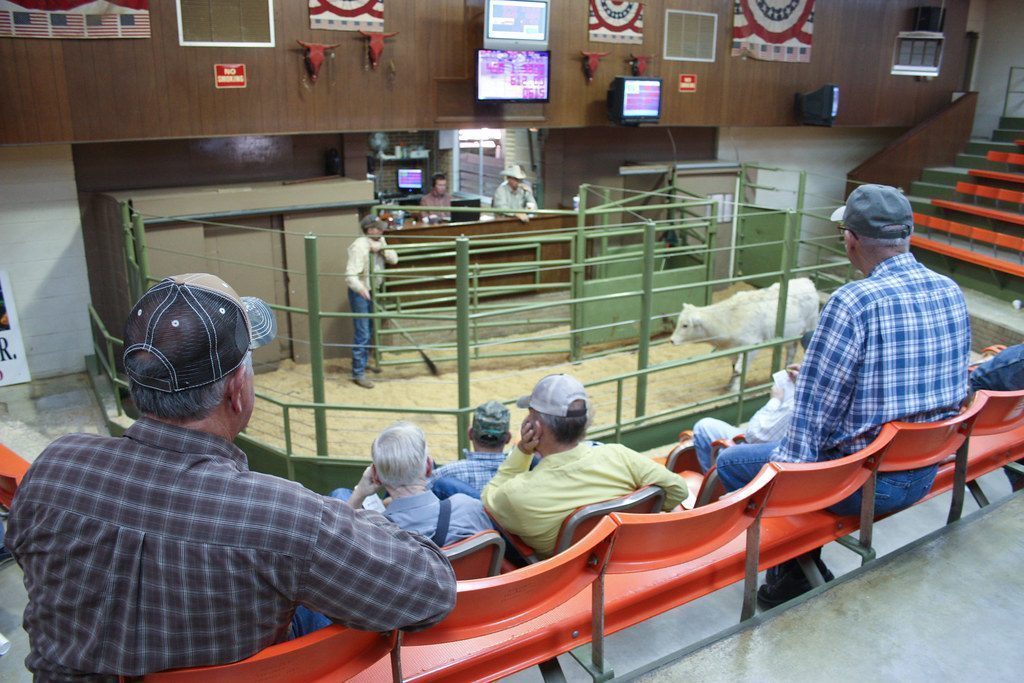 Economic Pressures Force Difficult Decisions (Image Credits: Flickr)