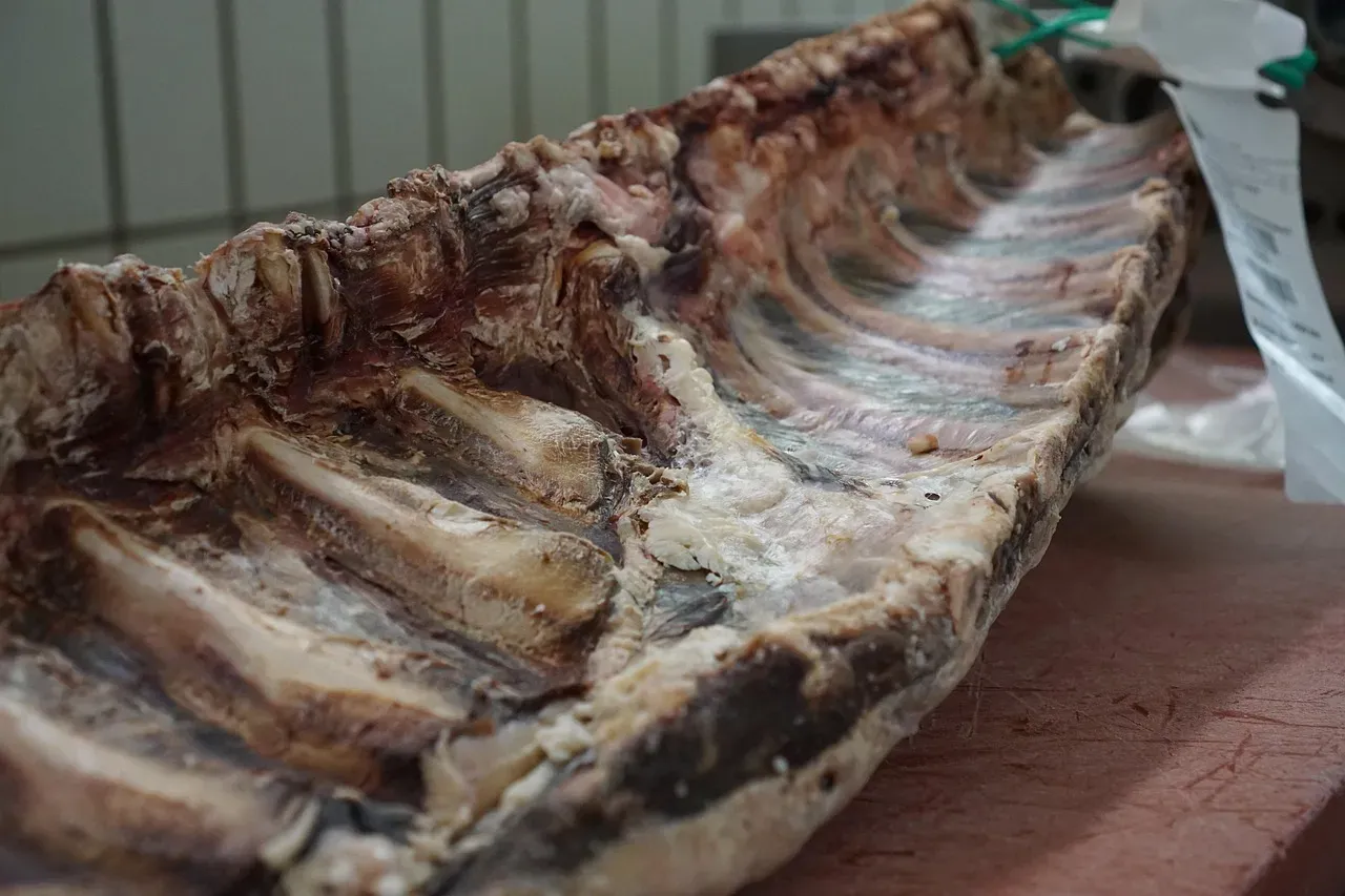 11. Freeze-Dried Meat: Modern Technology, Decade-Spanning Shelf Life (Image Credits: Pixabay)