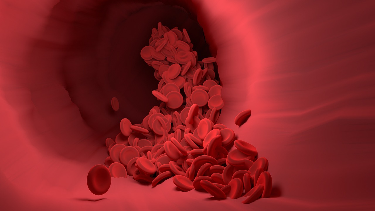 Boosting Cardiovascular Health and Blood Flow (image credits: pixabay)