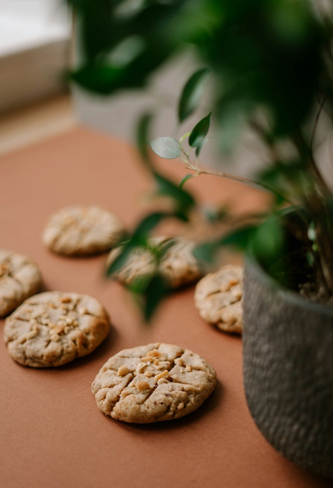 Planters P.B. Crisps (Image Credits: Unsplash)