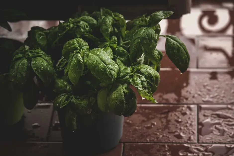 Containers, Soil, and Watering Without the Guesswork (Image Credits: Pexels)