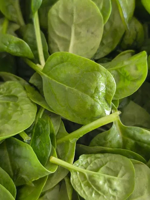3. Leafy Green Vegetables - The Brain's Daily Shield (Image Credits: Pexels)