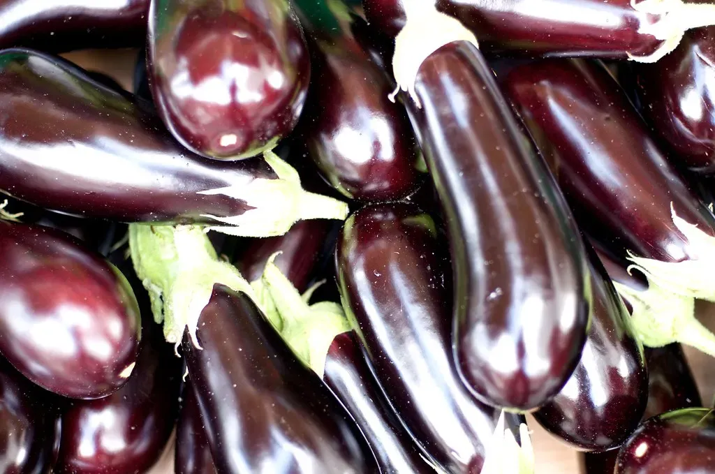 7. Eggplant: The Underrated Cholesterol Fighter (H&aring;var og Solveig, Flickr, CC BY 2.0)