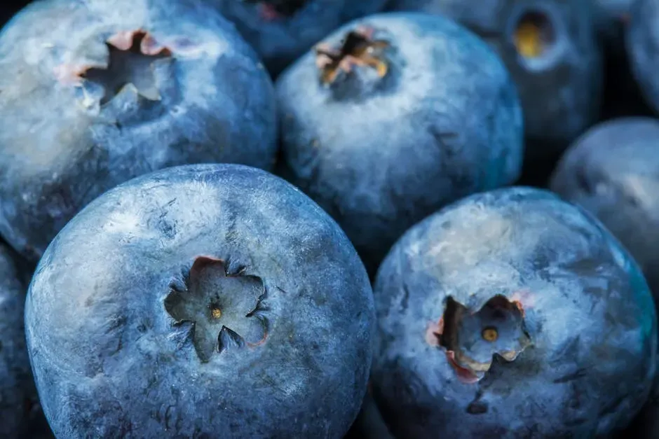 8. Blueberries: Small Berries, Big Immune Impact (Image Credits: Pexels)