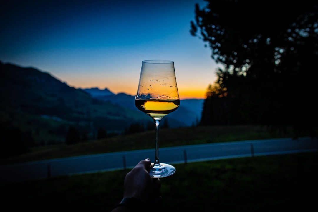 Switzerland - The Unexpected Wine Enthusiast (Image Credits: Unsplash)