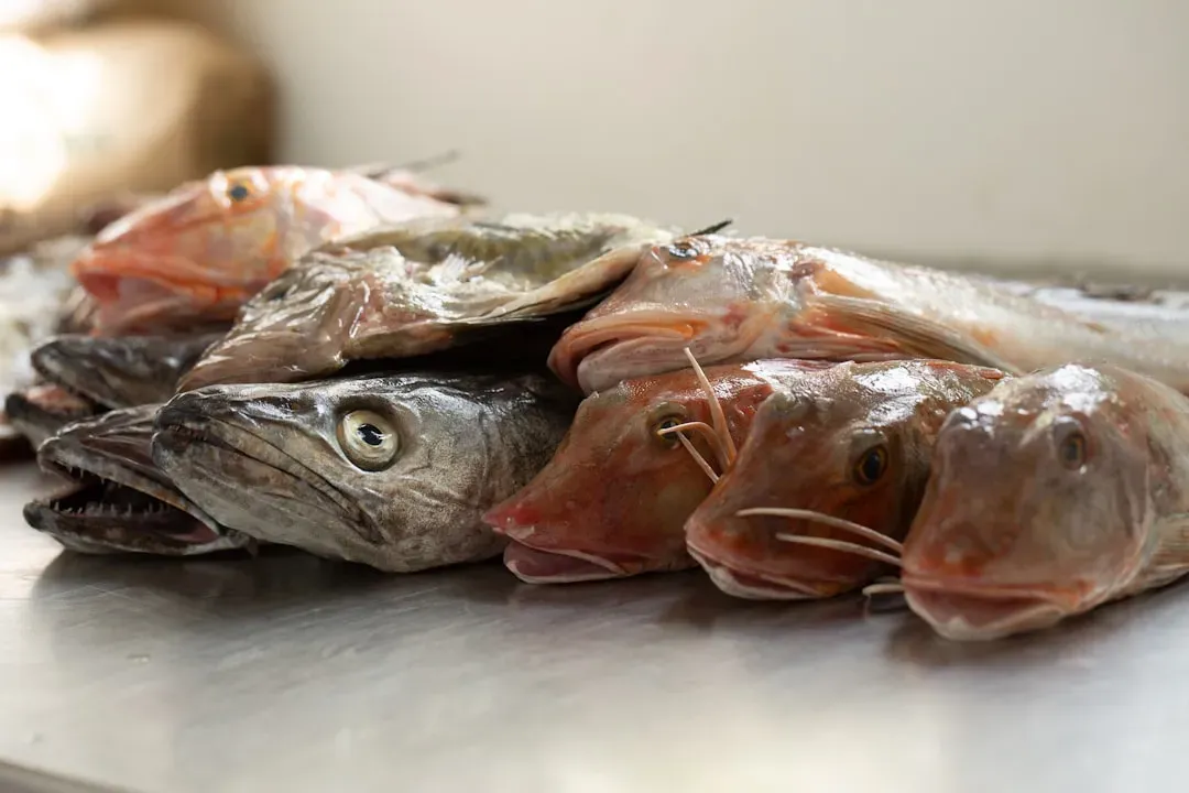 Why Refrigeration Standards Aren't What You Think (Image Credits: Unsplash)