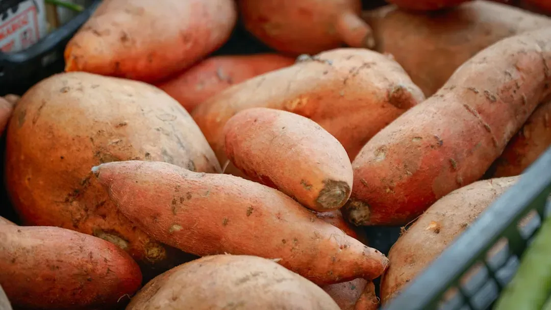 4. Sweet Potatoes - A Blue Zone Staple Straight From Okinawa (Image Credits: Unsplash)
