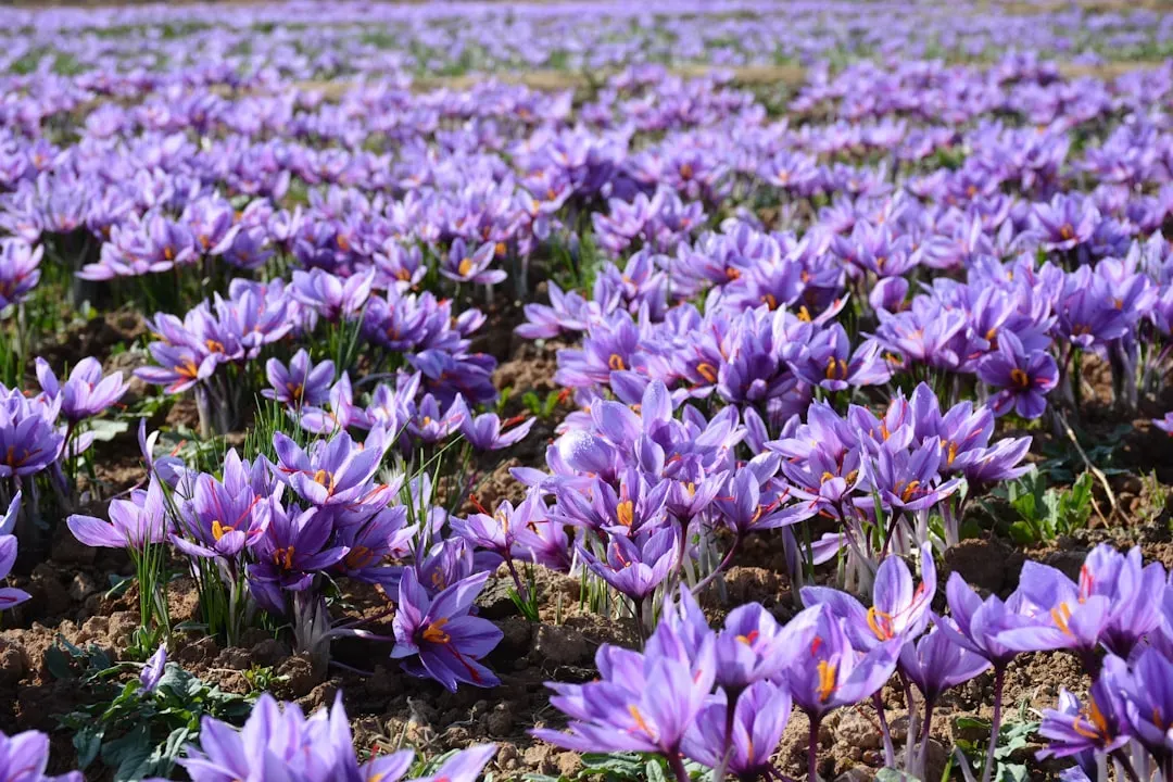 Climate Demands That Limit Global Production (Image Credits: Unsplash)