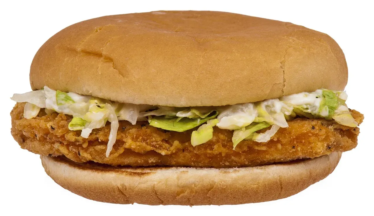 4. Fast Food Fried Chicken Sandwiches (Image Credits: Pixabay)