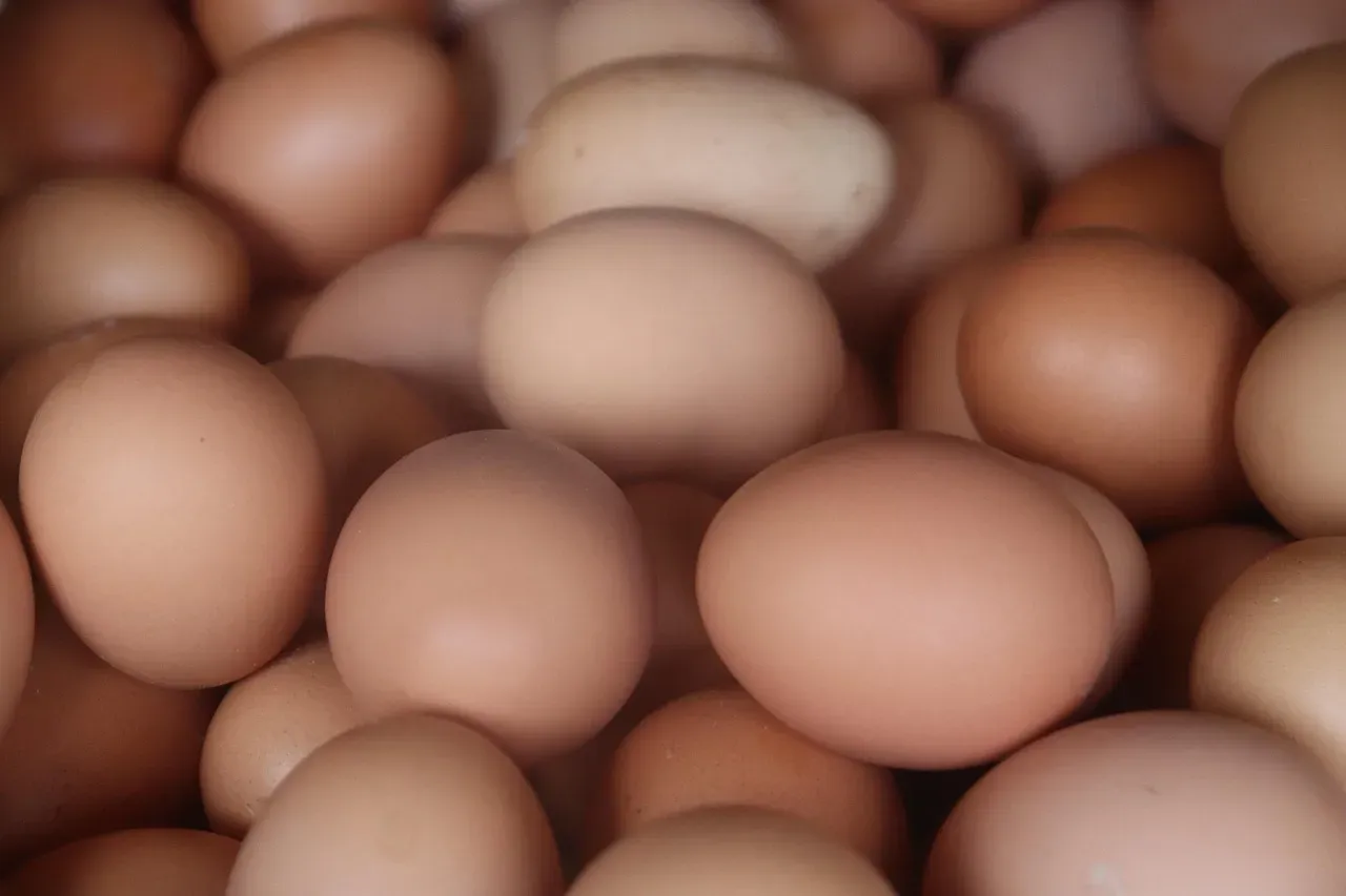 1. Eggs: A Complete Package for Hair Follicles (Image Credits: Pixabay)