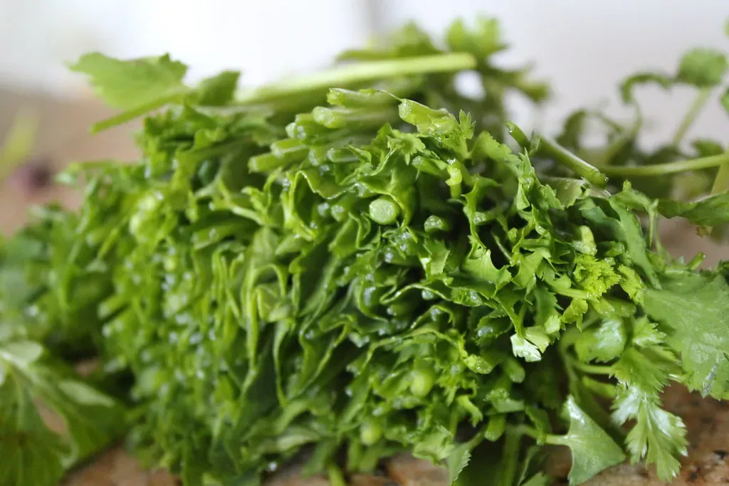 A Nutritional Powerhouse You're Tossing in the Trash (quinn.anya, Flickr, CC BY-SA 2.0)
