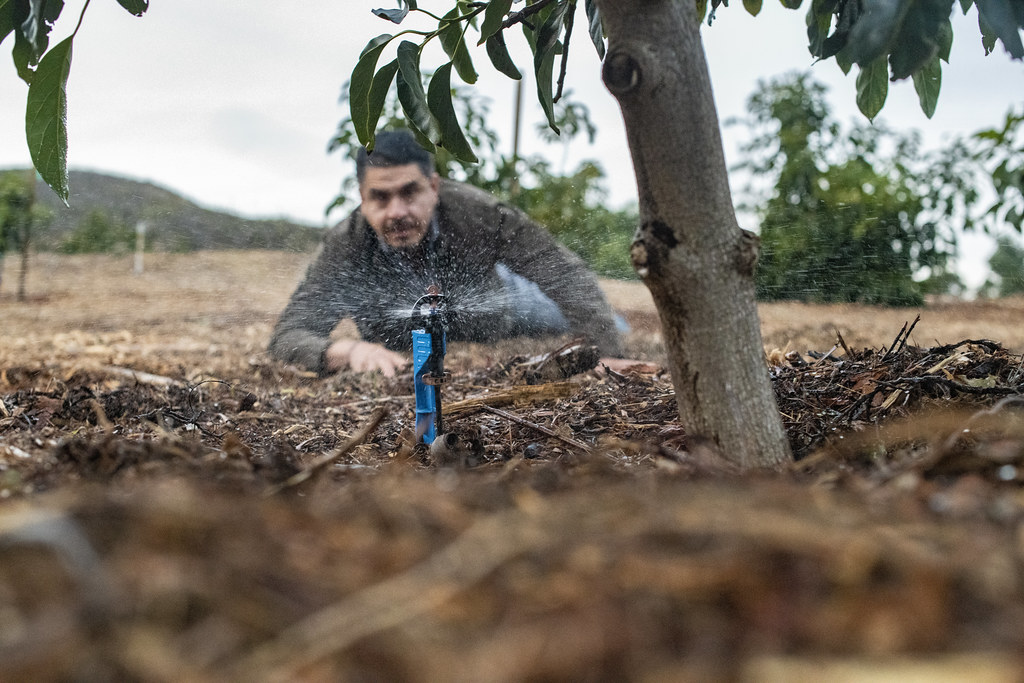 Smart Water Management Systems Reduce Agricultural Impact (image credits: flickr)