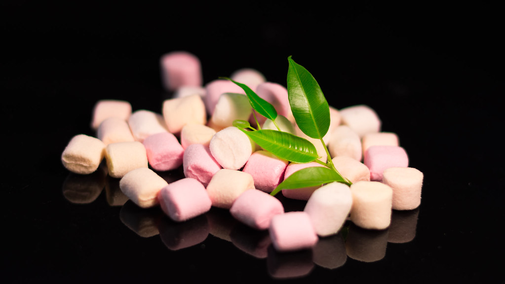Mini Marshmallow S'mores Style (image credits: flickr)