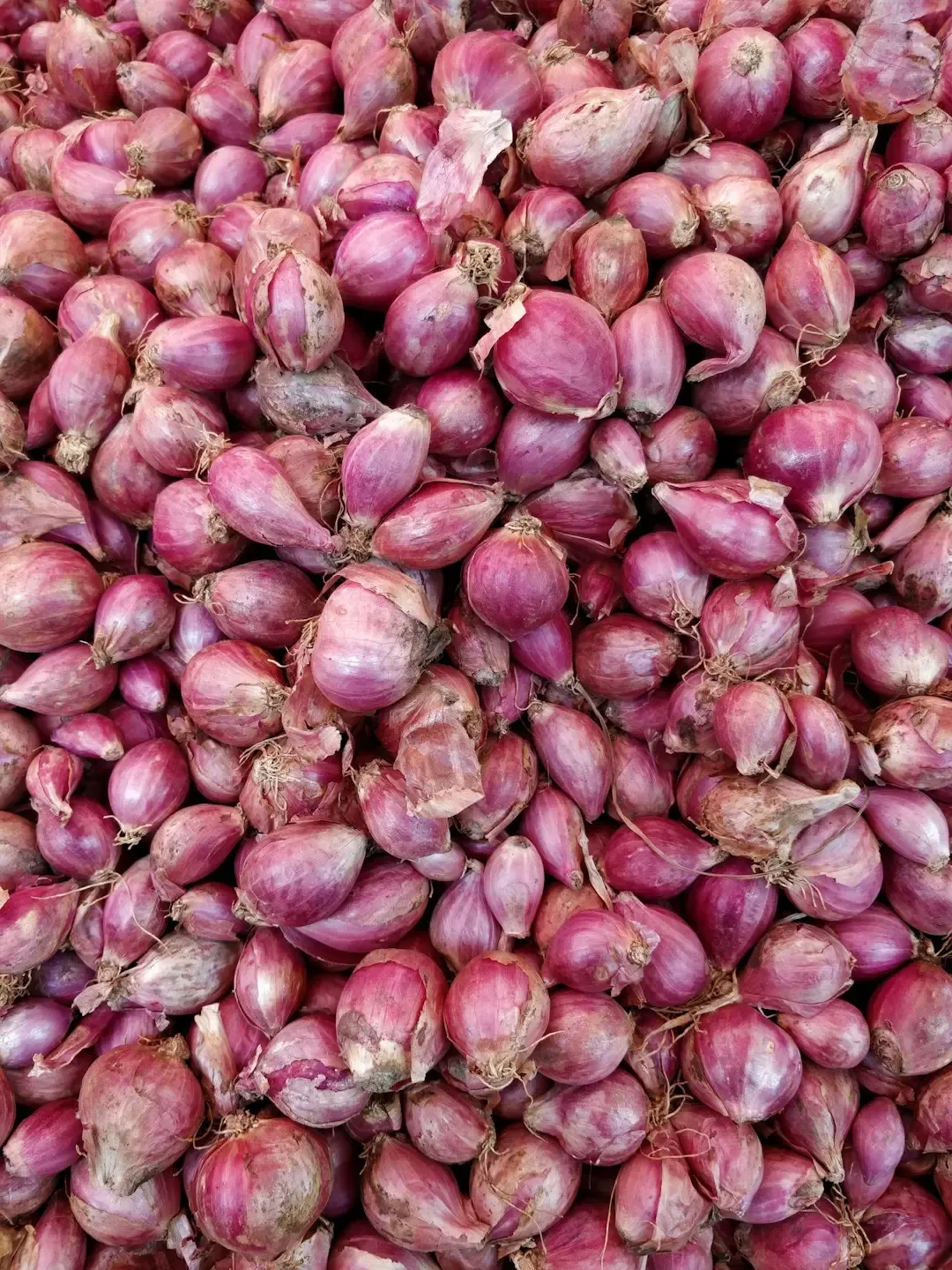 Reach for shallots instead of yellow onions (Image Credits: Unsplash)