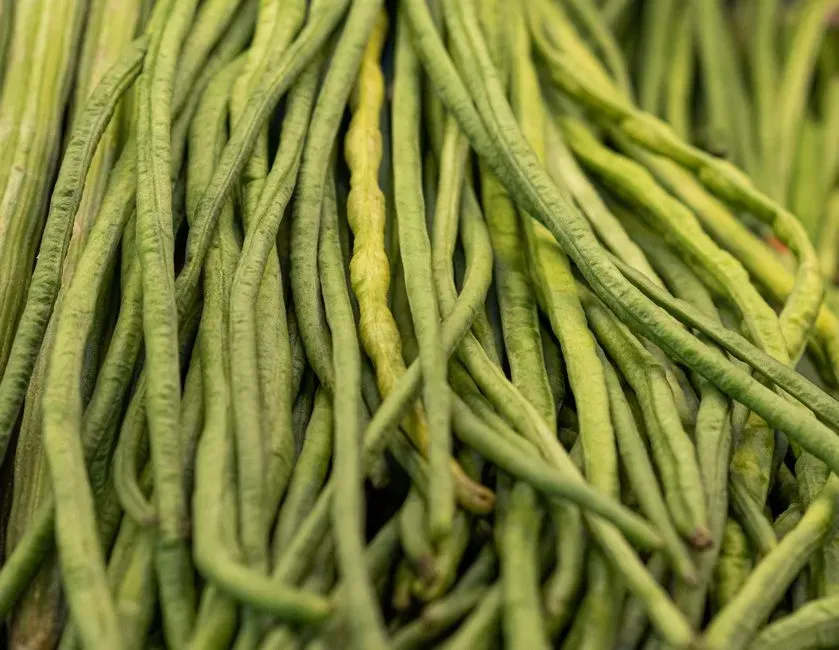 Dragon Tongue Beans (Image Credits: Pexels)