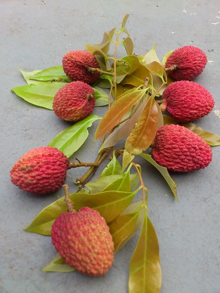 10. Lychees: Fragrant, Irresistible, and Concentrated in Fructose (Andréia, Flickr, CC BY 2.0)