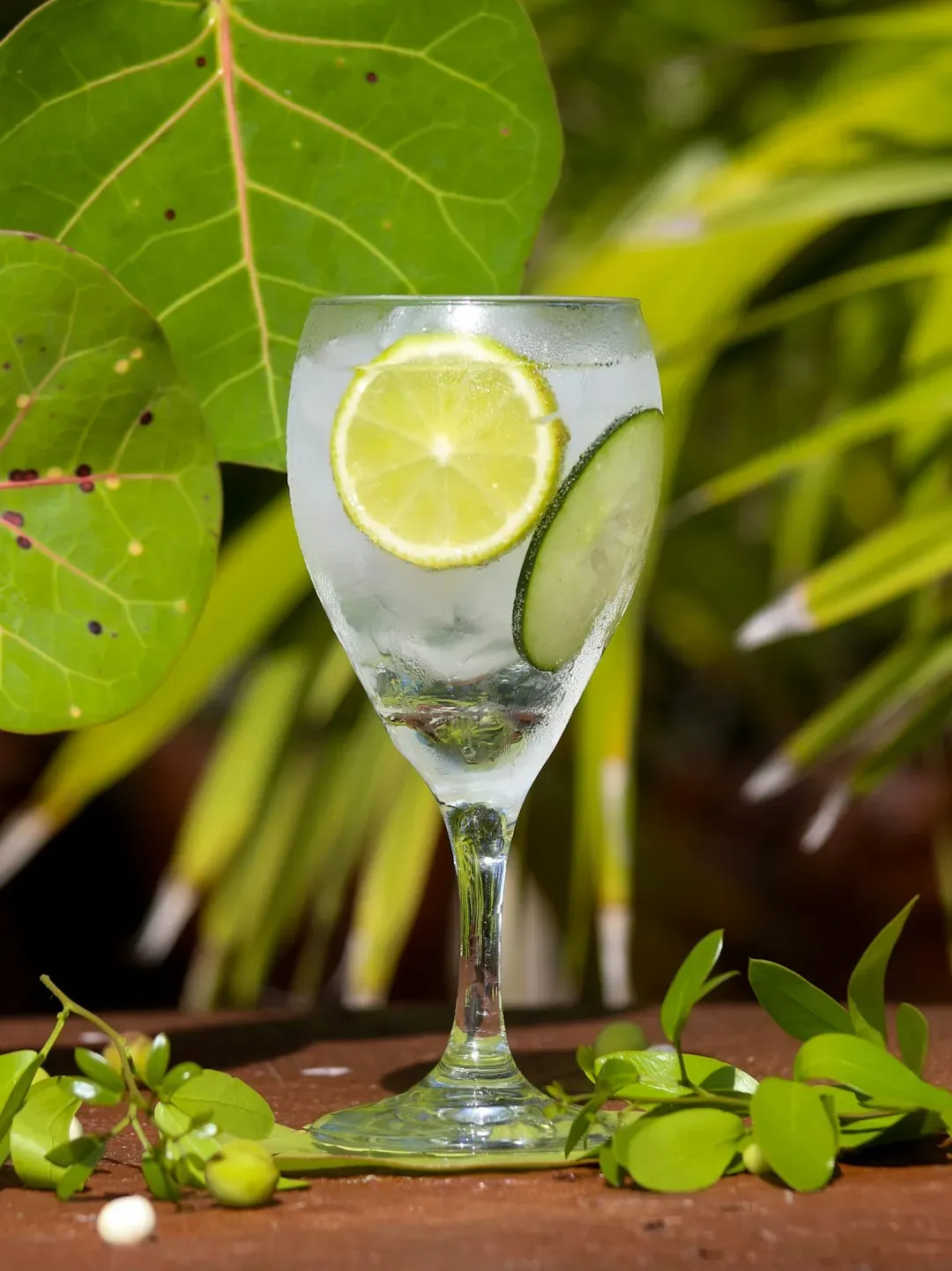 2. Cocktails and Alcoholic Drinks (Image Credits: Unsplash)