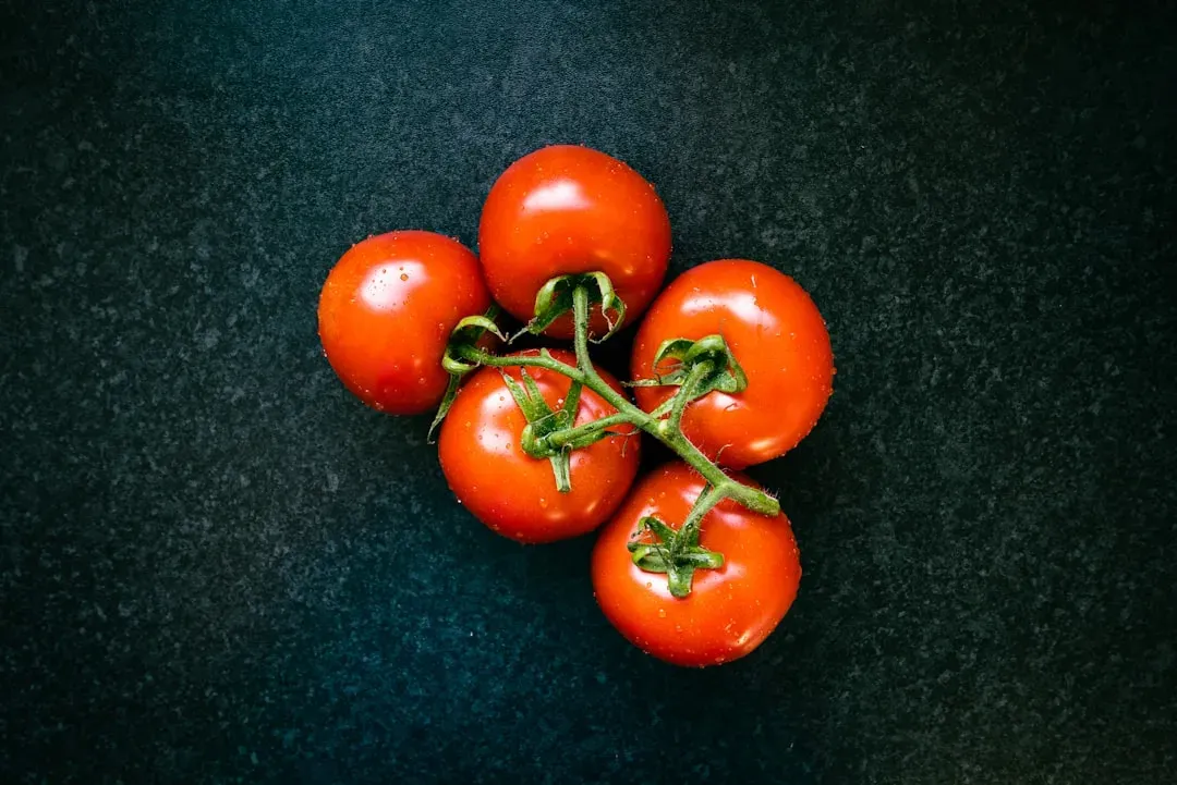 5. Tomatoes: The Lycopene Defenders (Image Credits: Unsplash)