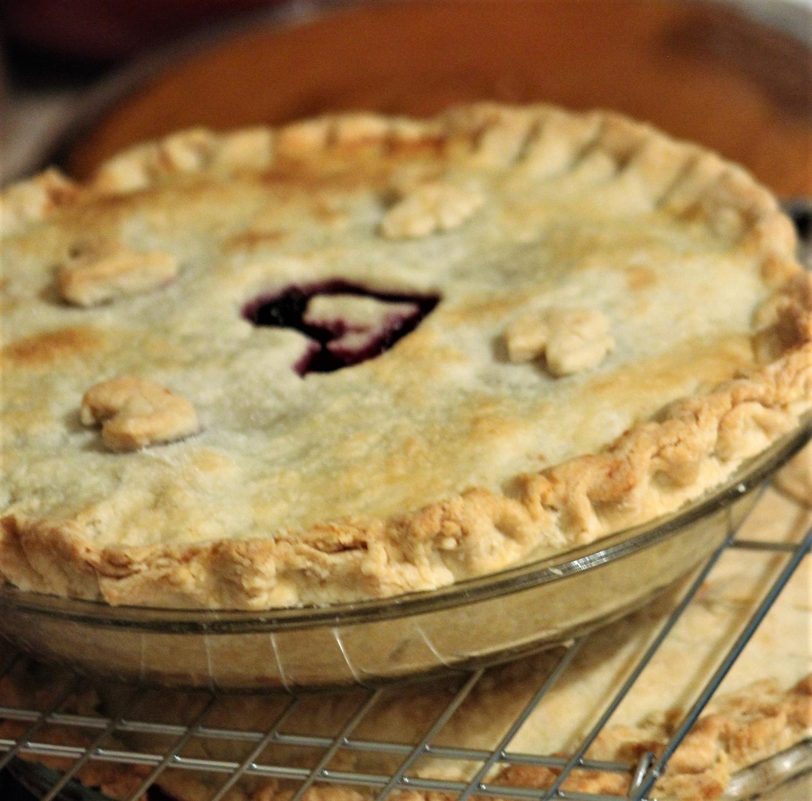 Conclusion (Image Credits: Wikimedia)