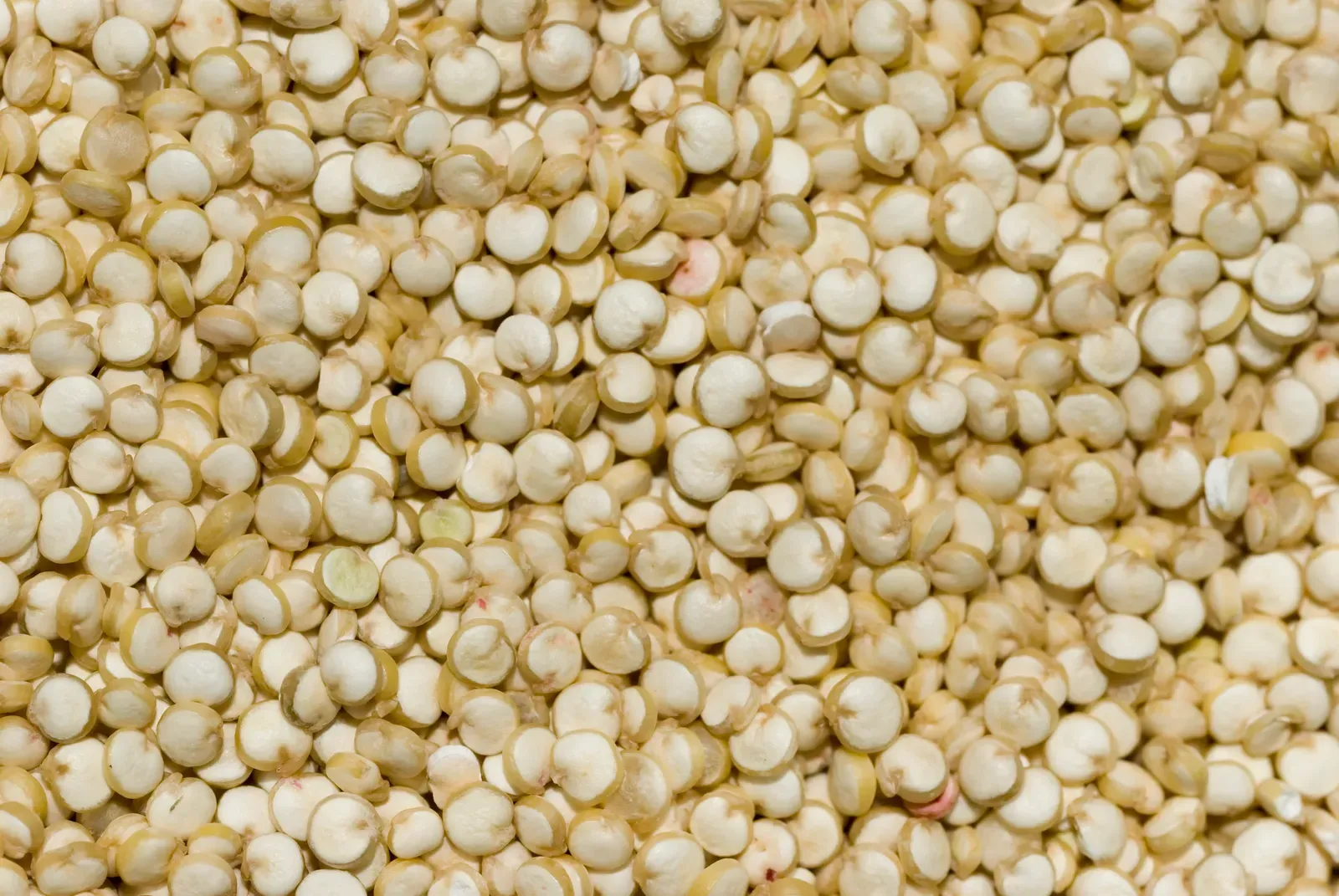 Quinoa: The Complete Protein Grain (Image Credits: Wikimedia)
