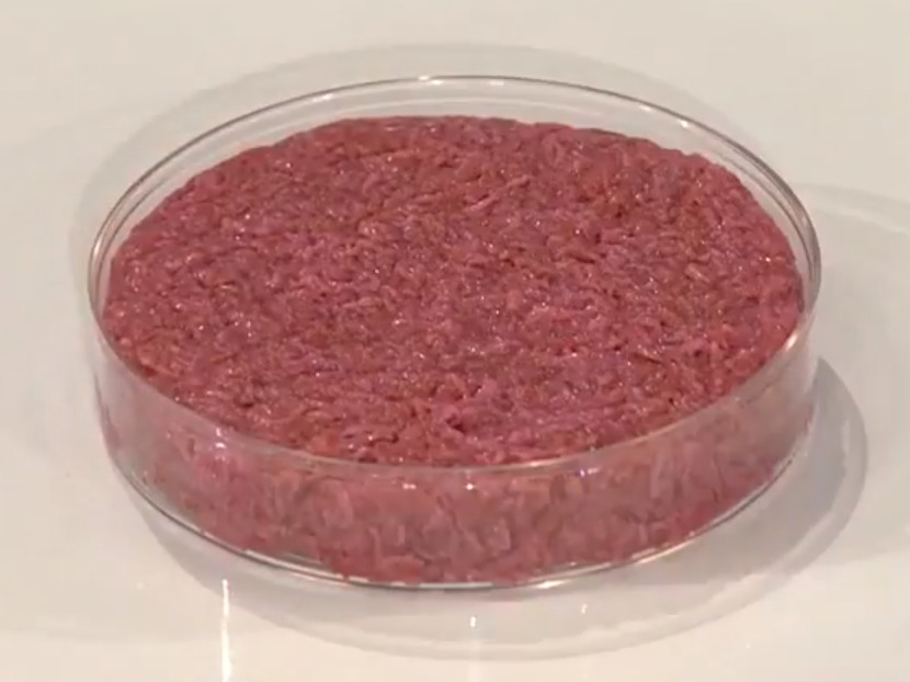 Lab-Grown Meat Enters the Mainstream Market (image credits: wikimedia)