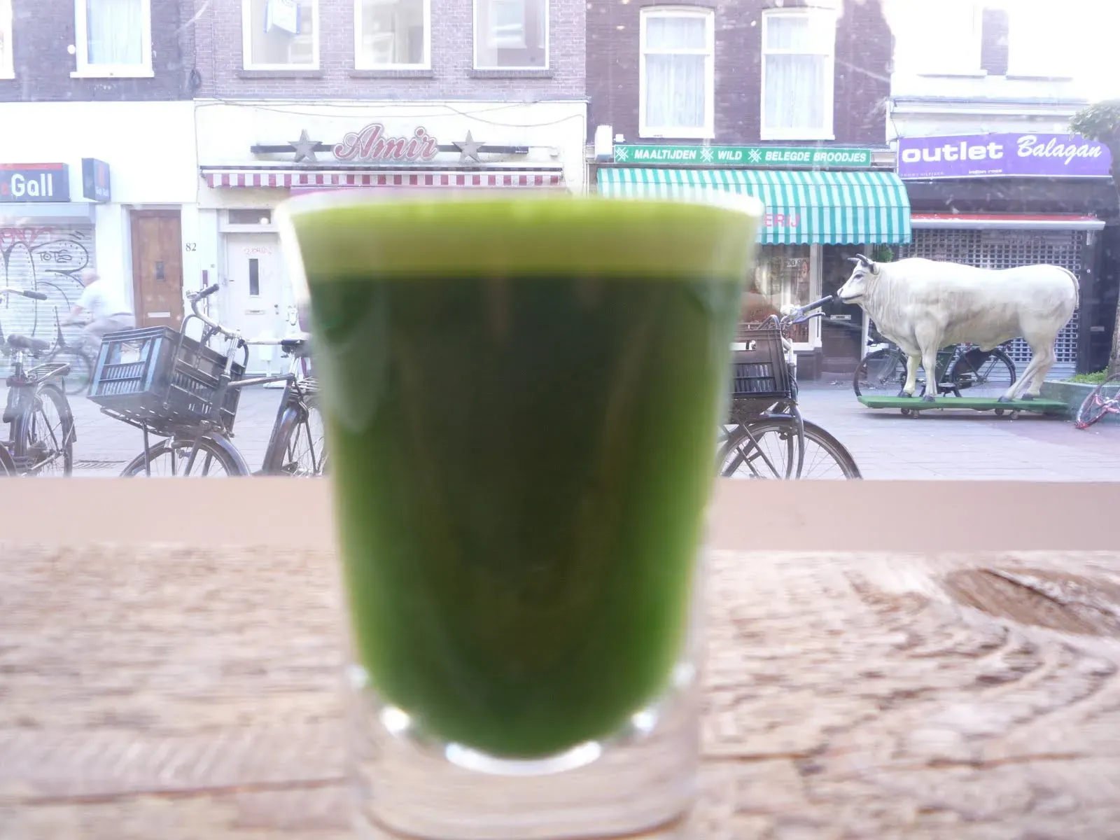 3. Wheatgrass (Image Credits: Wikimedia)