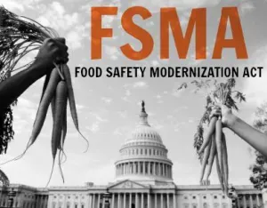 Conclusion (Image Credits: Wikimedia)