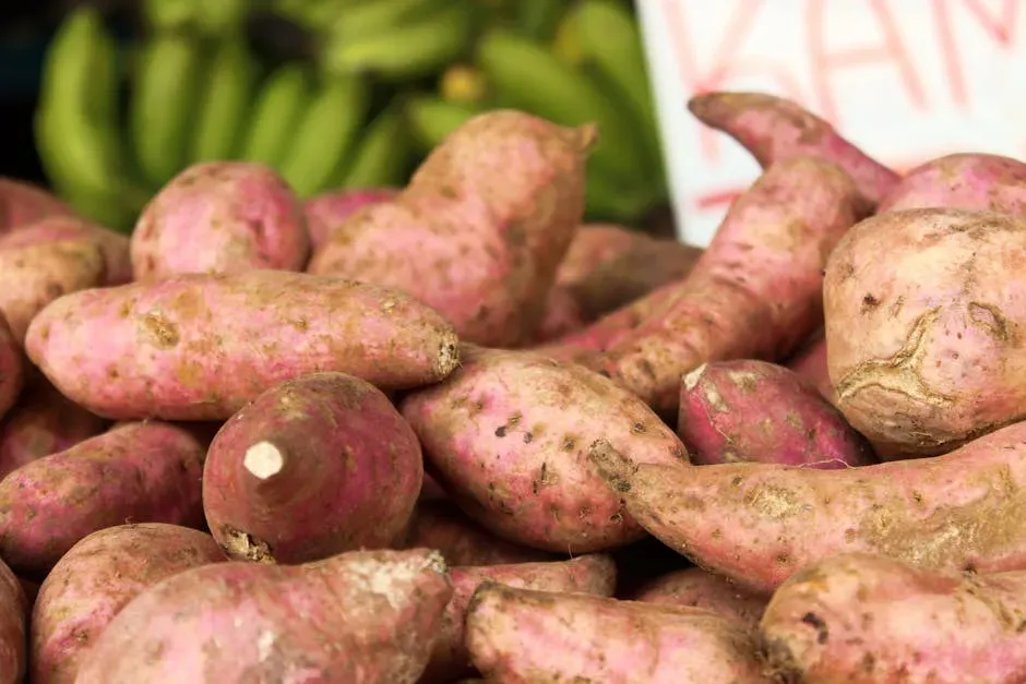 4. Sweet Potatoes: Beta-Carotene and Vitamin A in Abundance (Image Credits: Pexels)