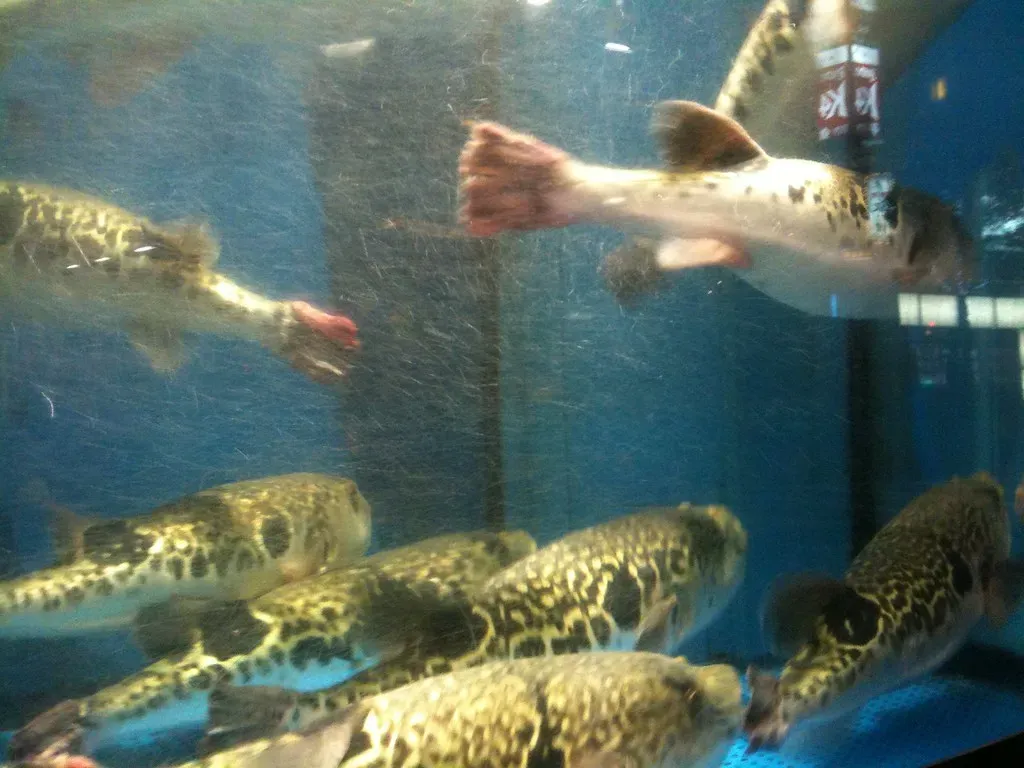 The Written Test That Covers Life and Death (Image Credits: Flickr)