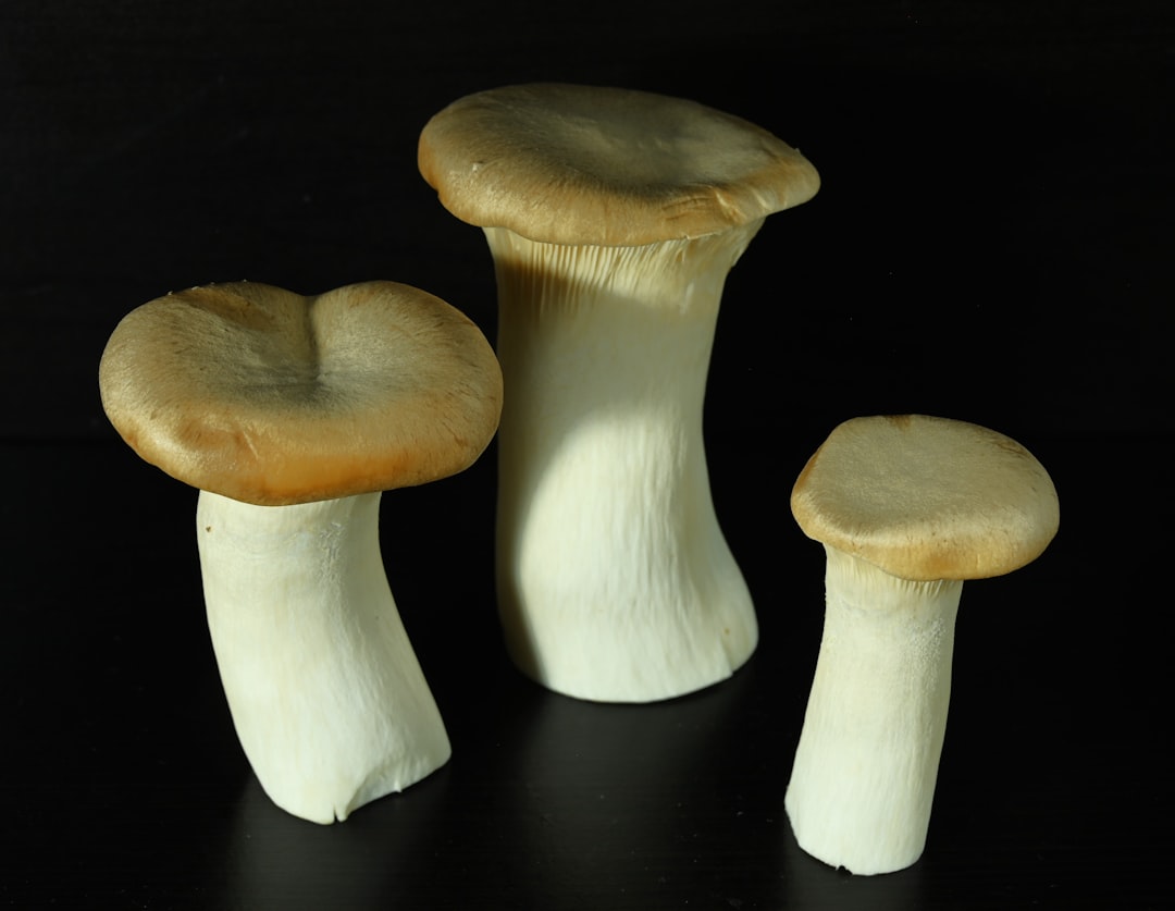 Mushrooms - Unexpected Sources of Selenium and B Vitamins (image credits: unsplash)