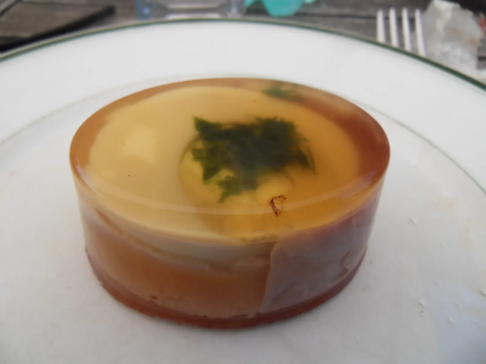 Aspic: The Savory Jelly Experiment (Image Credits: Wikimedia)