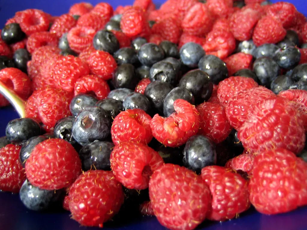 3. Blueberries and Berries: Small Fruits, Big Impact (psd, Flickr, CC BY 2.0)
