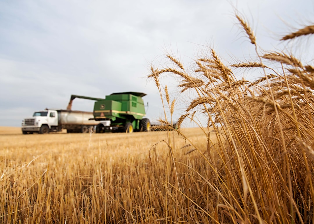 Global Production Statistics Reveal Impressive Agricultural Momentum (image credits: unsplash)