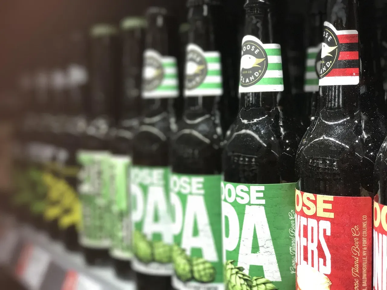 5. Beer - Especially a Craft IPA: The Curious Socialite (Image Credits: Pixabay)