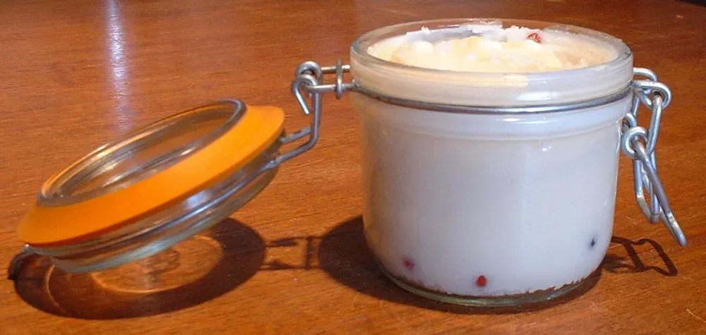 2. Beef Tallow: The Cooking Fat That Changed Everything (Image Credits: Wikimedia)
