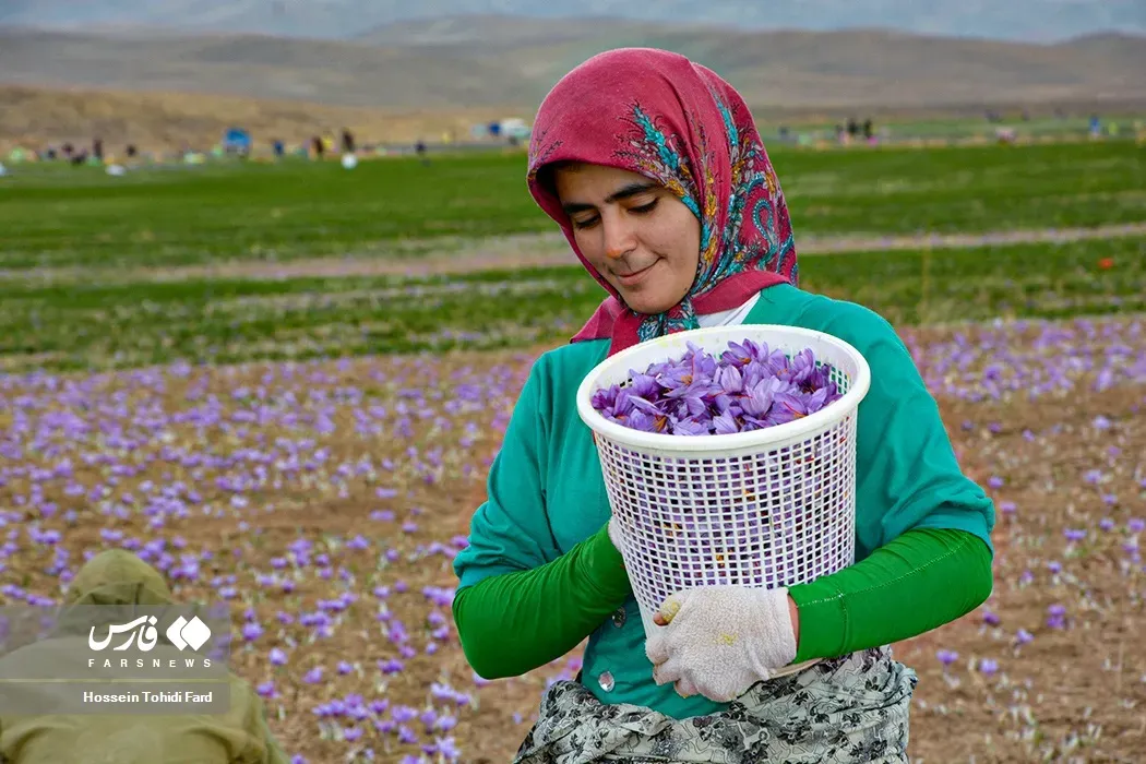 Why Automation Hasn't Solved the Problem (Image Credits: Wikimedia)