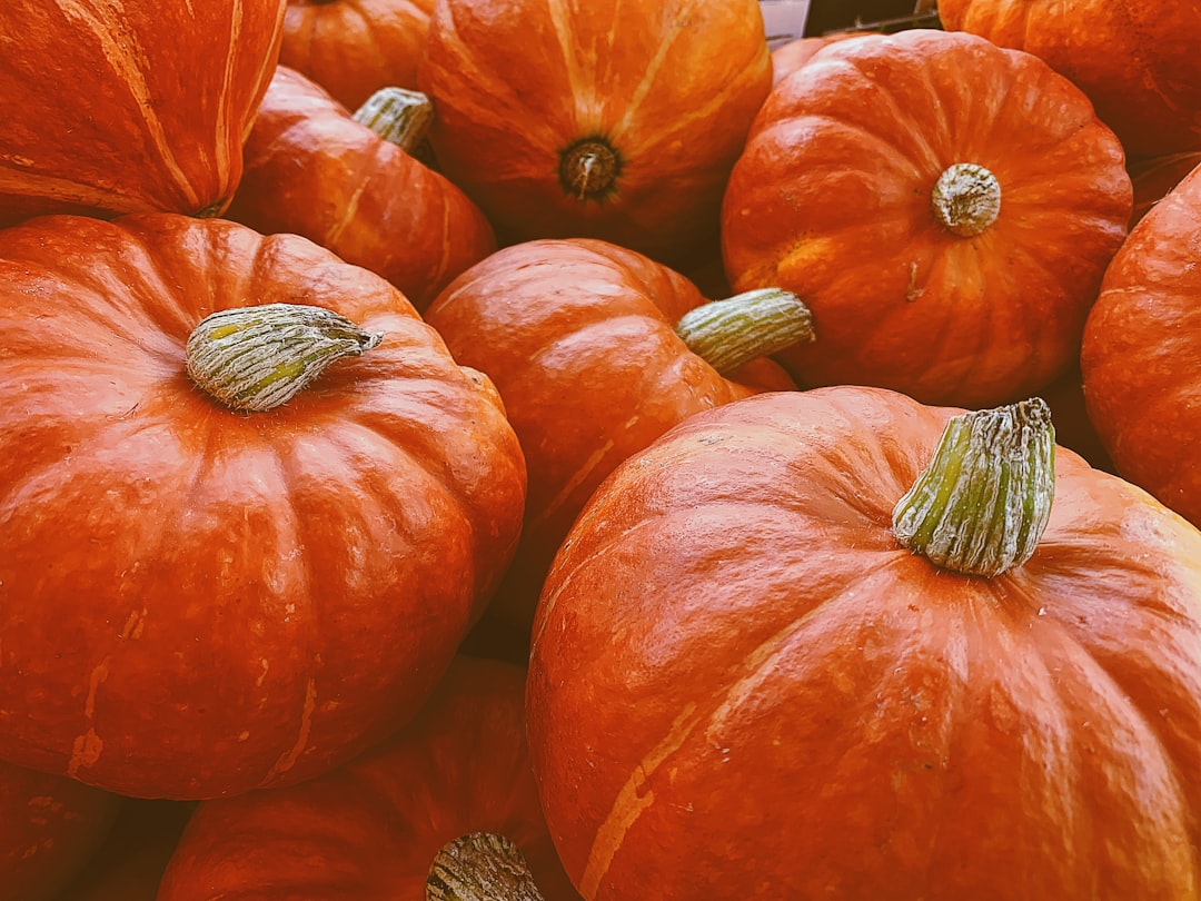 Seasonal Adaptations That Keep Things Interesting (image credits: unsplash)