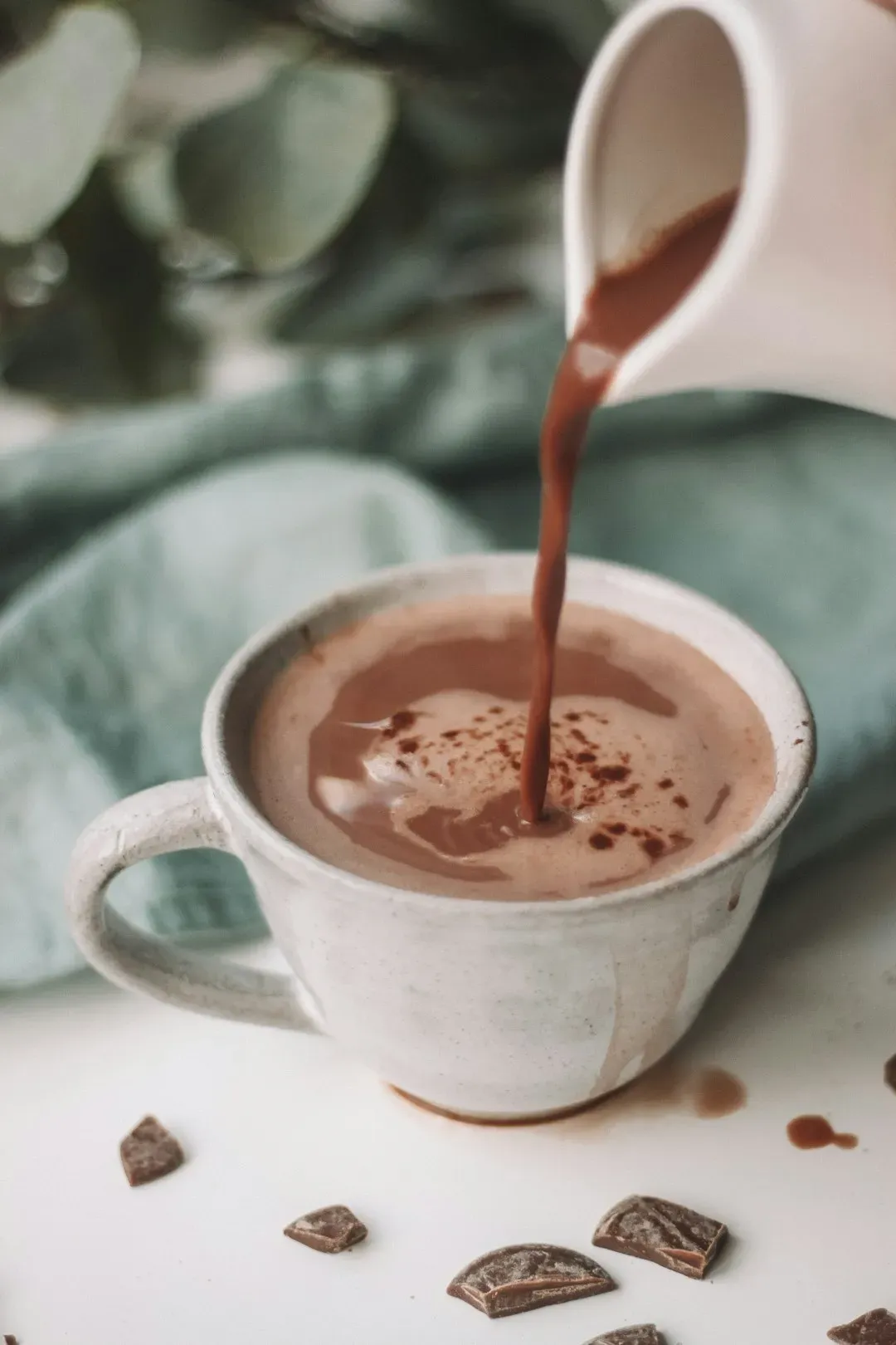 Hot Chocolate and Eggnog: The Drinks That Define the Festive Season (Image Credits: Unsplash)