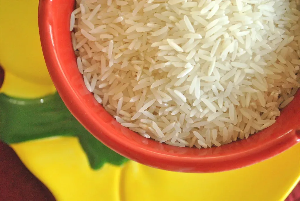 1. Rice: The Unbeatable Foundation of Every Meal (cookbookman17, Flickr, CC BY 2.0)