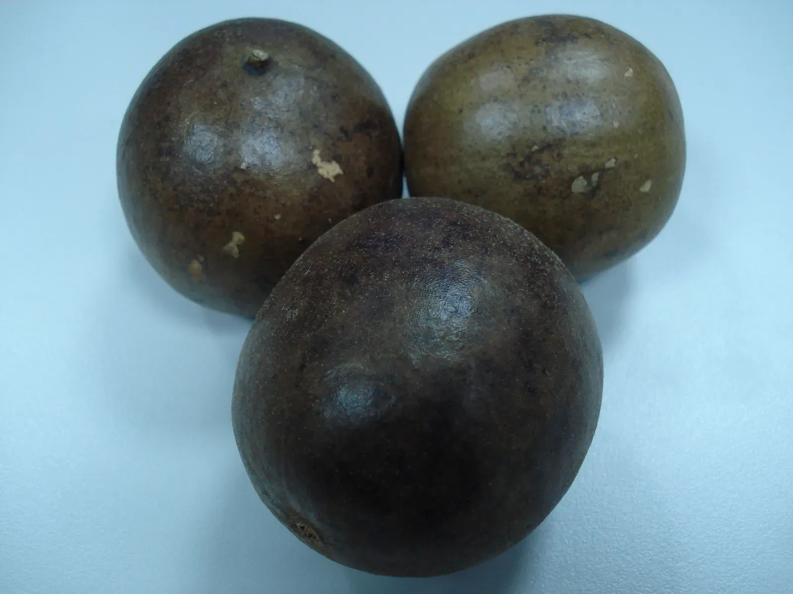 Monk Fruit: The Ancient Remedy Gaining Modern Science (By User:KasugaHuang, CC BY 2.5)