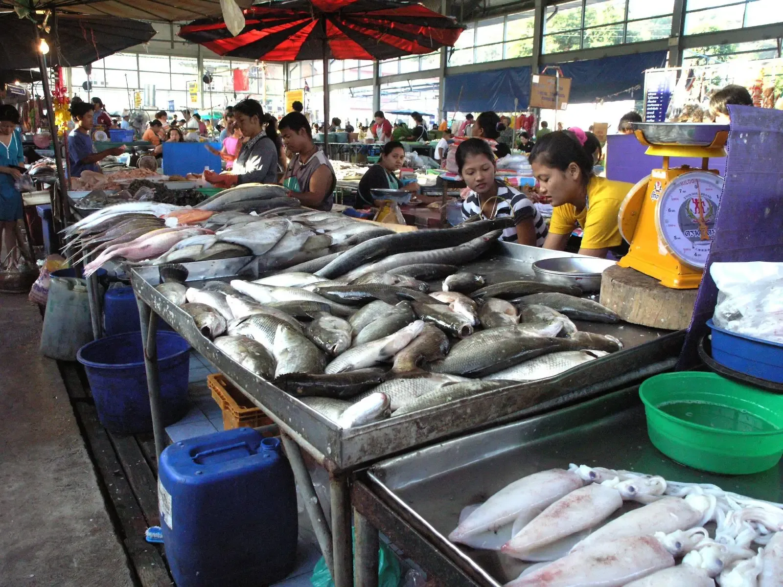 How to Protect Yourself When Ordering Fish (Image Credits: Wikimedia)